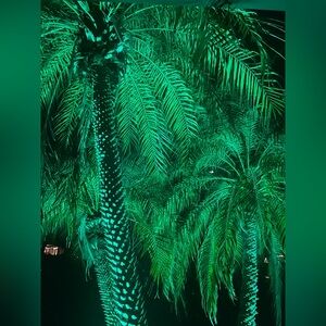 Meet your Posher, Karyn